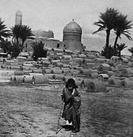 Shiekh Ma'aroof
